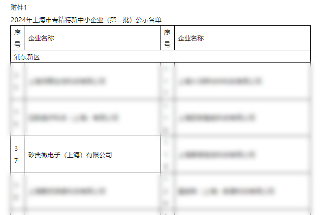 2024年上海市专精特新中小企业（第二批）公示名单