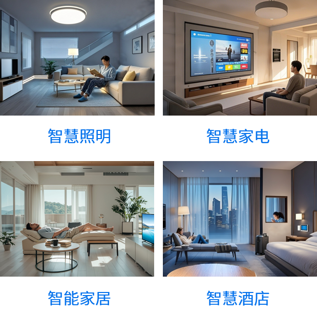 XenD101MM应用场景 XenD101MM应用场景